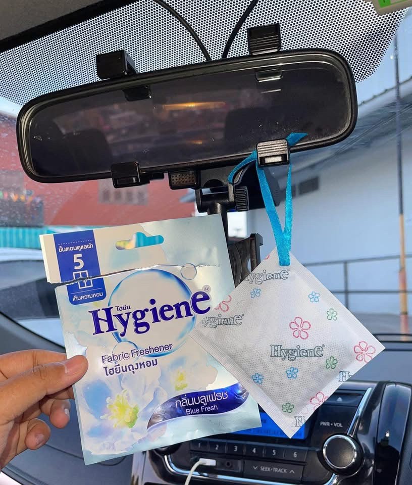 Hygiene Scented Sachet Air Freshener – Pack of 8 (8 g Each)