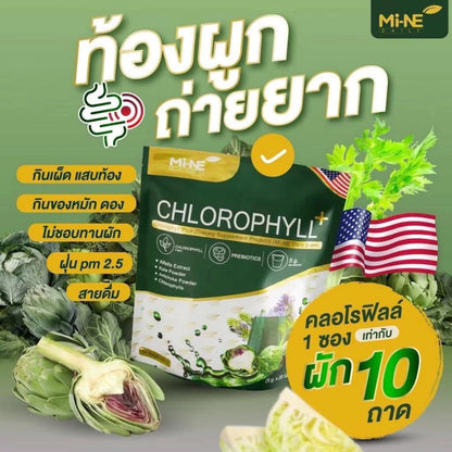 Mine Chlorophyll My Mint Drink Mix – 20 Sachets