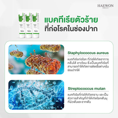 Haewon Herbal Fresh Breath Toothpaste – 80 g